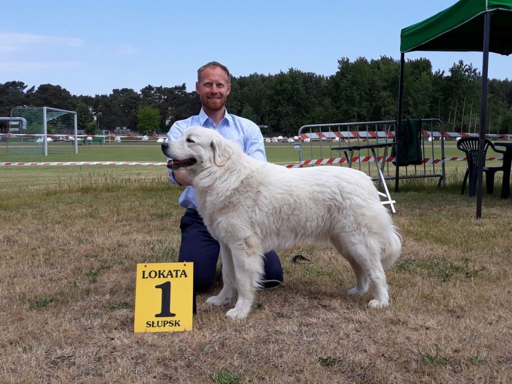 Interview – Radosław Gac – Gacówka kennel – Polish Tatra Shepherd